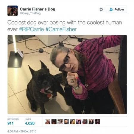 Carrie Fisher y su querido bulldog francés Gary (c) Twitter