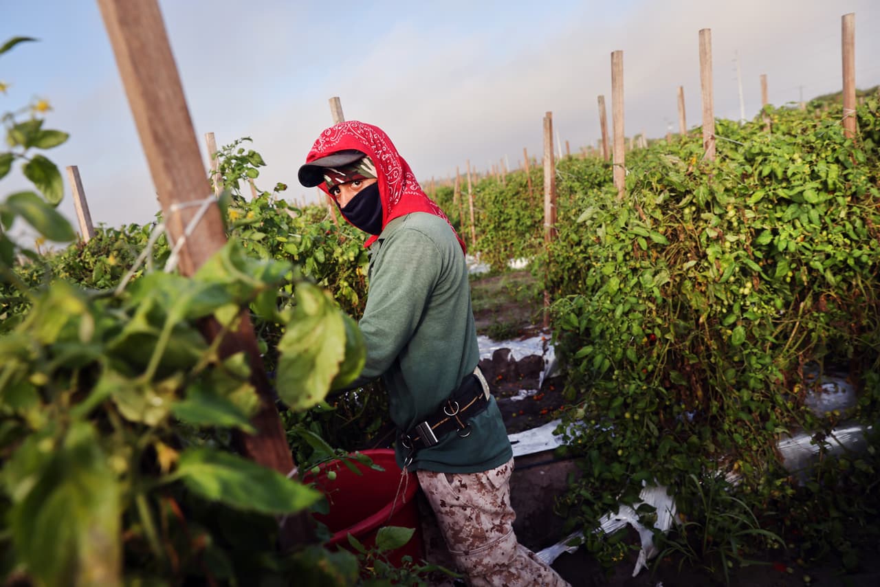 El peligro de trabajar al aire libre: morir por un golpe de calor