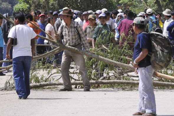 Productores de coca de los Yungas, región agrícola cercana a La Paz, cortaron una ruta principal de la zona, en protesta por una nueva norma que restringe el comercio de la hoja de coca, informó un dirigente de un sindicato departamental.