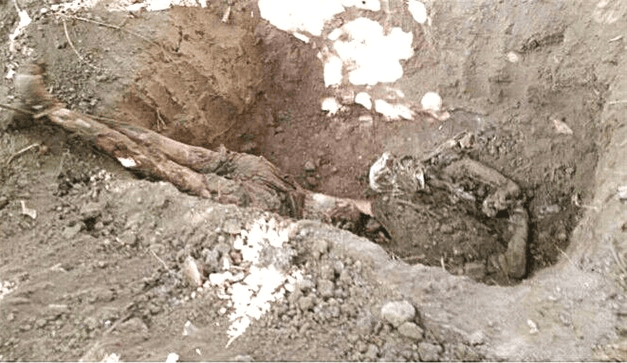 En varios estados se han descubierto osamentas de personas, que pudieran corresponder con los desaparecidos.