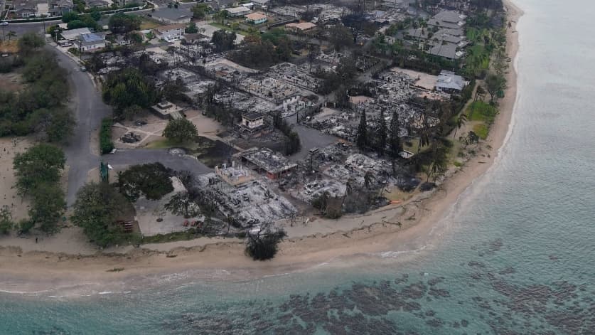 Por qué los turísticos corales de Maui también están en riesgo por los incendios en Hawaii (aunque se encuentren bajo el agua)