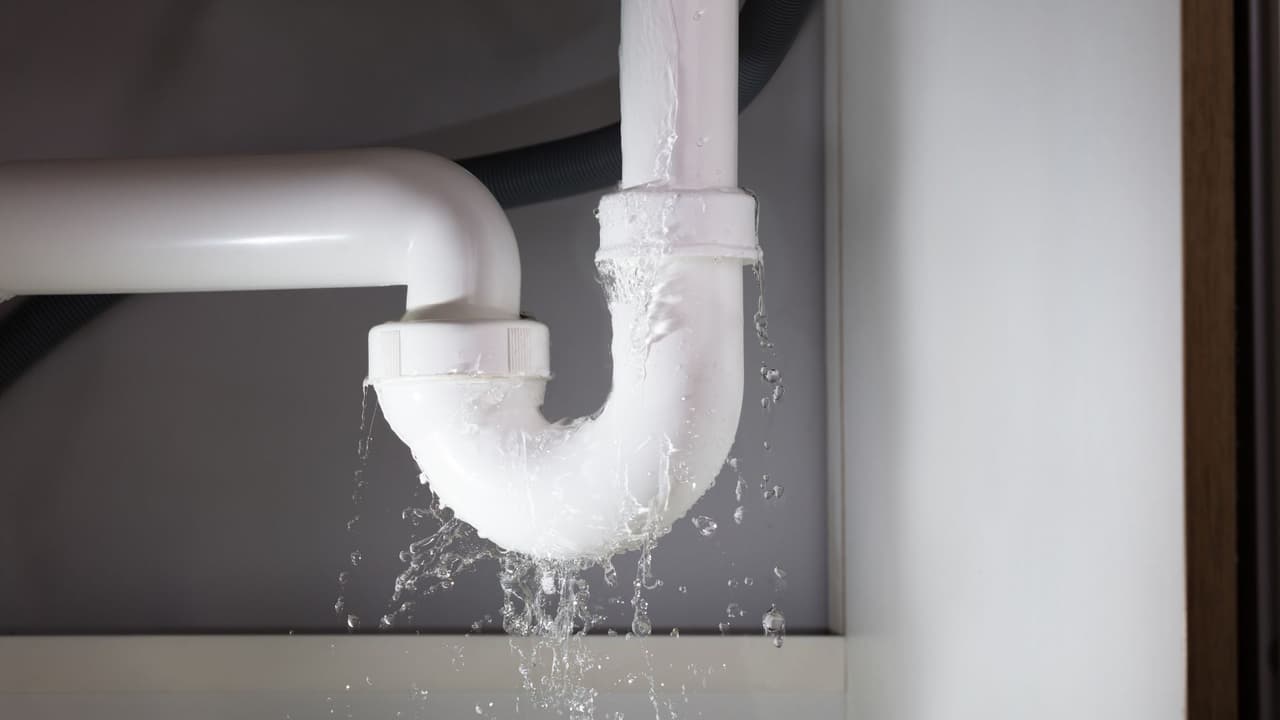 Repara las fugas, incluidos los inodoros que gotean.
<br>