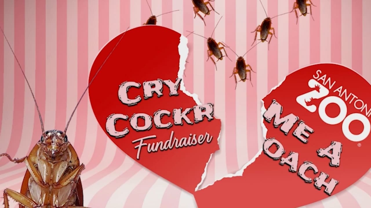 La extraña forma de un zoológico texano de 'curar' el despecho en San Valentín