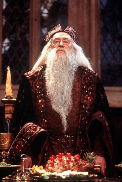 En el mágico mundo de Harry Potter, ¿quién mejor que el director de Hogwarts, Albus Dumbledore, para enseñarle a los chicos?