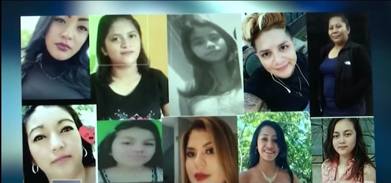 La investigación también revisara si en el lugar de los hechos pueden encontrar restos de mujeres que
<b>han sido reportadas como </b>
<a href="https://www.univision.com/temas/desapariciones">desaparecidas </a>en los últimos tiempos.
<br>