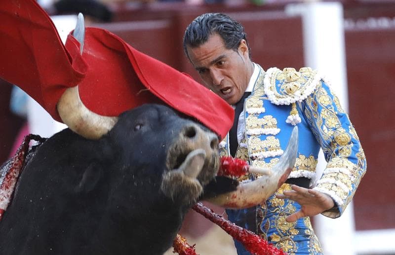 Muere el torero español Iván Fandiño tras sufrir una grave cornada en Francia
