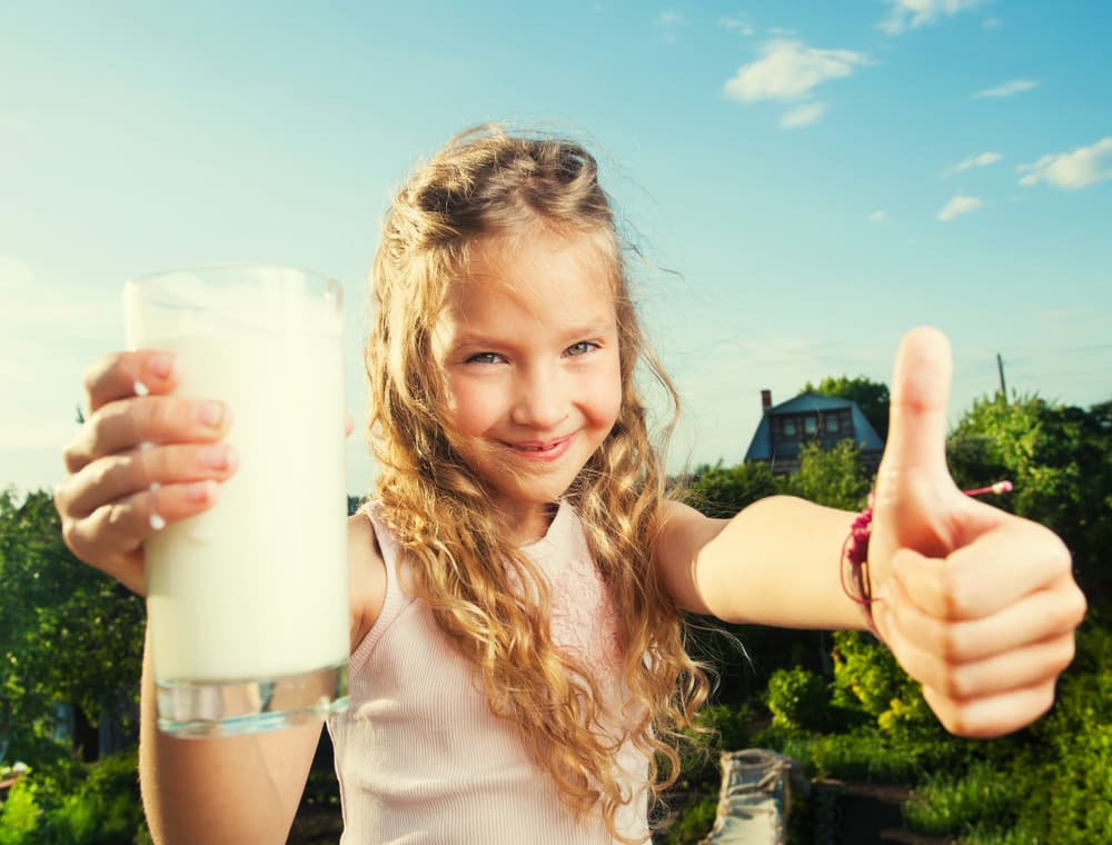 Tanto como el agua, la leche también juega un papel fundamental pues el calcio contribuye a regular la función nerviosa y la presión arterial. Recuerda que si el sistema nervioso está estable, la memoria se ejercita de manera correcta.