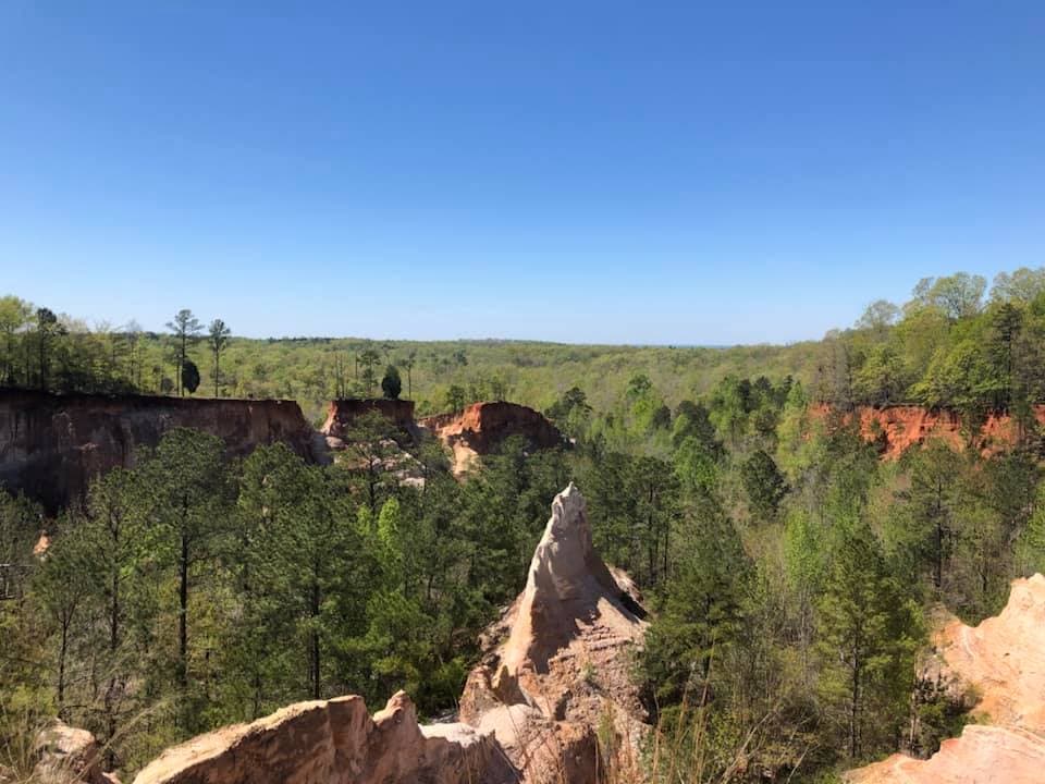 Esculpidas por la erosión debido a las malas prácticas agrícolas, las formaciones ofrecen una mirada fascinante a la colorida historia y geología de Georgia del Sur. Los mochileros exploran el cañón por dentro y por fuera a lo largo de un desafiante sendero de 7 millas que conduce a seis campamentos primitivos.