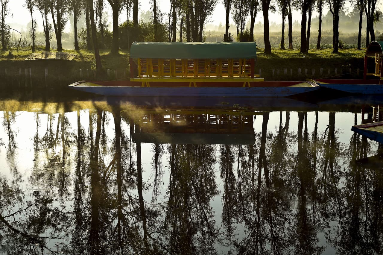 Con el corazón roto porque su novia lo había abandonado por otro hombre, el señor se mudó a este lugar a mediados del siglo pasado y se dedicó a cultivar flores y verduras, que todos los días vendía con su carrito por ahí en Xochimilco.