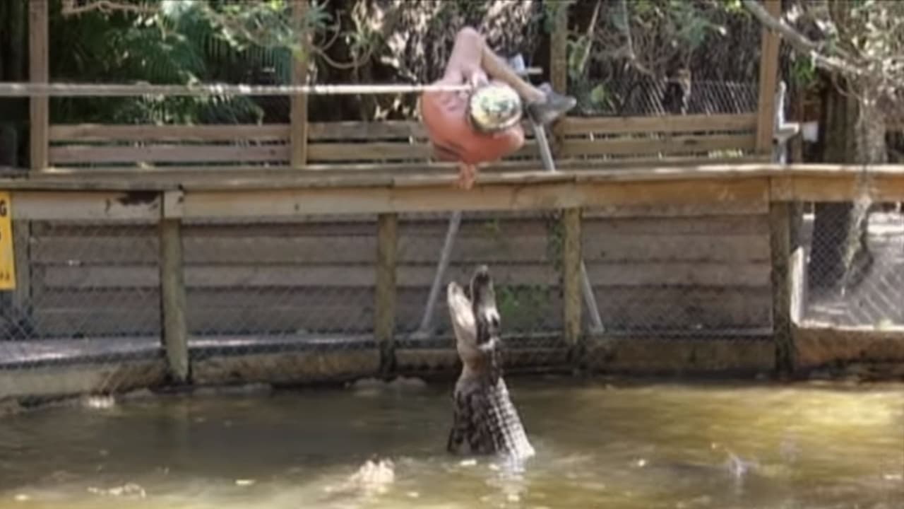 Steve-O se puso un pedazo de carne para pasar encima de lagartos.
