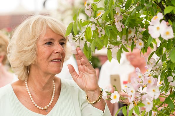 La realeza anualmente asiste al espectáculo de flores en el Hampton.