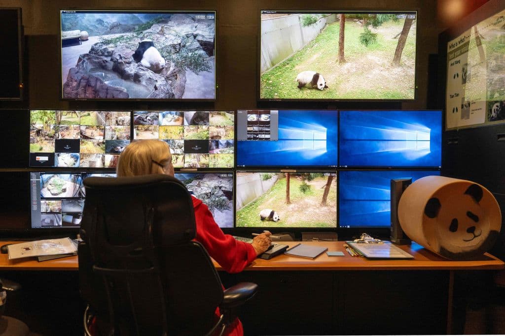 Por un lado, es triste ver partir a estos queridos animales que han sido parte de la vida del zoológico durante muchos años.