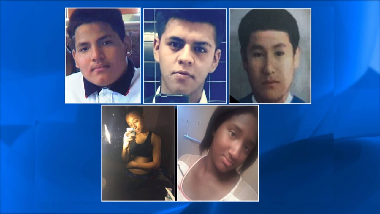 Cinco adolescentes asesinados en Long Island y la policía sigue buscando 