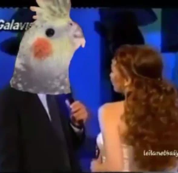 Cantando con un "pajarito" (que en realidad lo tomaron de un clip con Julio Iglesias)