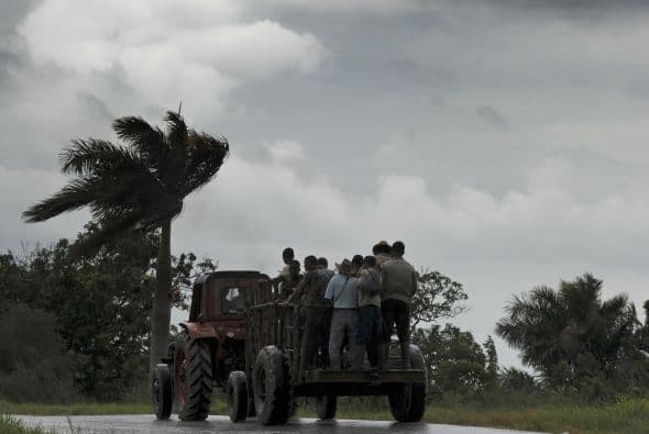 Las lluvias y los vientos de la tormenta también provocaron el cierre transitorio de algunas avenidas y túneles, y derribaron árboles, ramas y parte del tendido eléctrico, lo que obligó a desviar el tránsito en algunas céntricas calles de la ciudad.