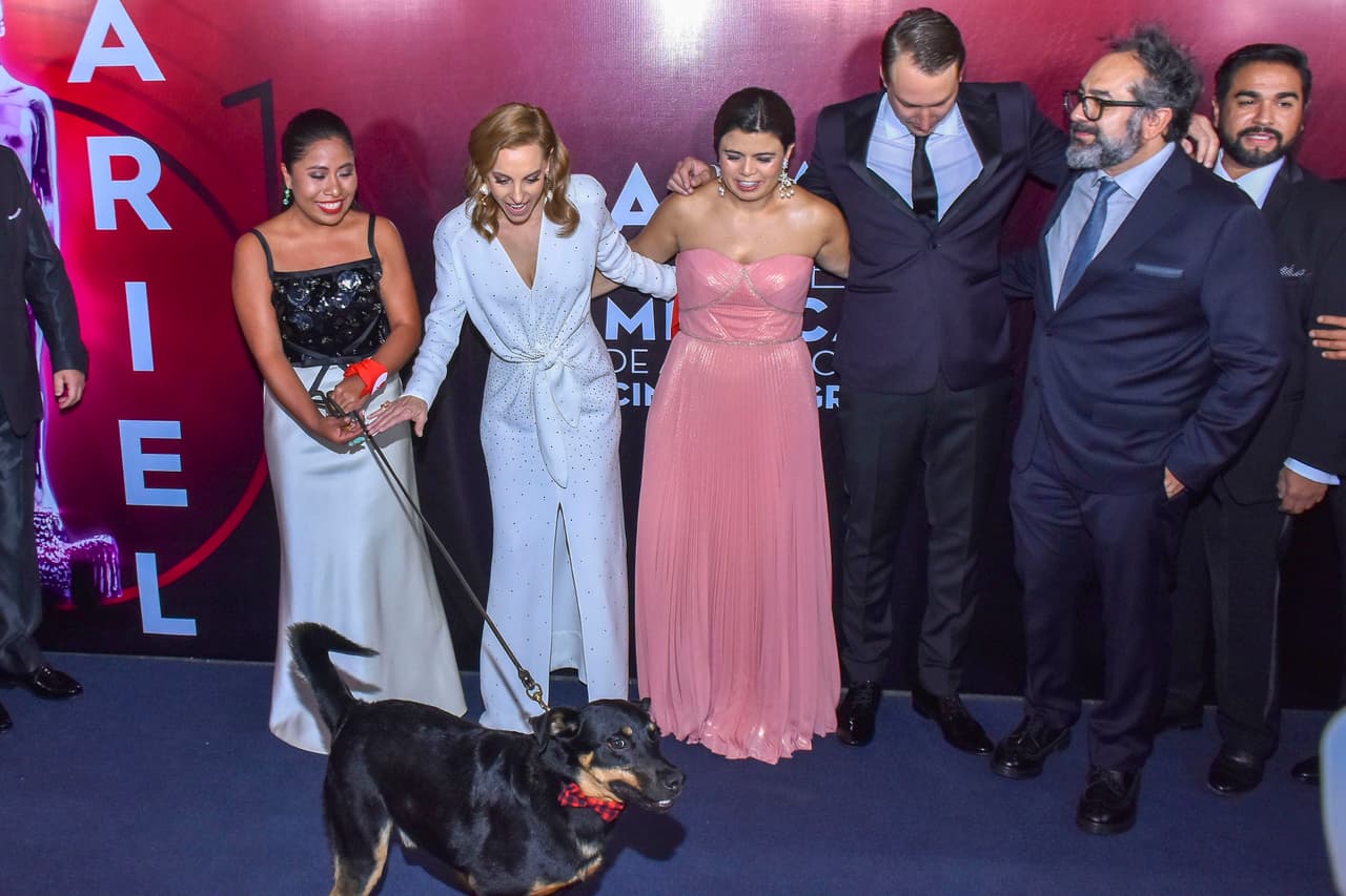 Yalitza, Marina de Tavira, Jorge Antonio Guerrero y El Borras desfilaron por la alfombra de los premios, realizados en la Cineteca Nacional, al sur de la Ciudad de México.