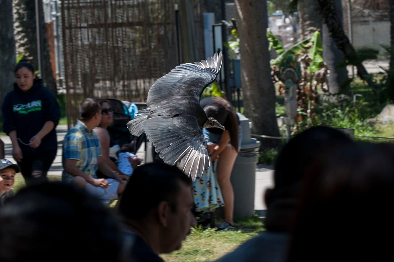 Un bello dia fue perfecto para las familias desde Bakersfield a Modesto.
