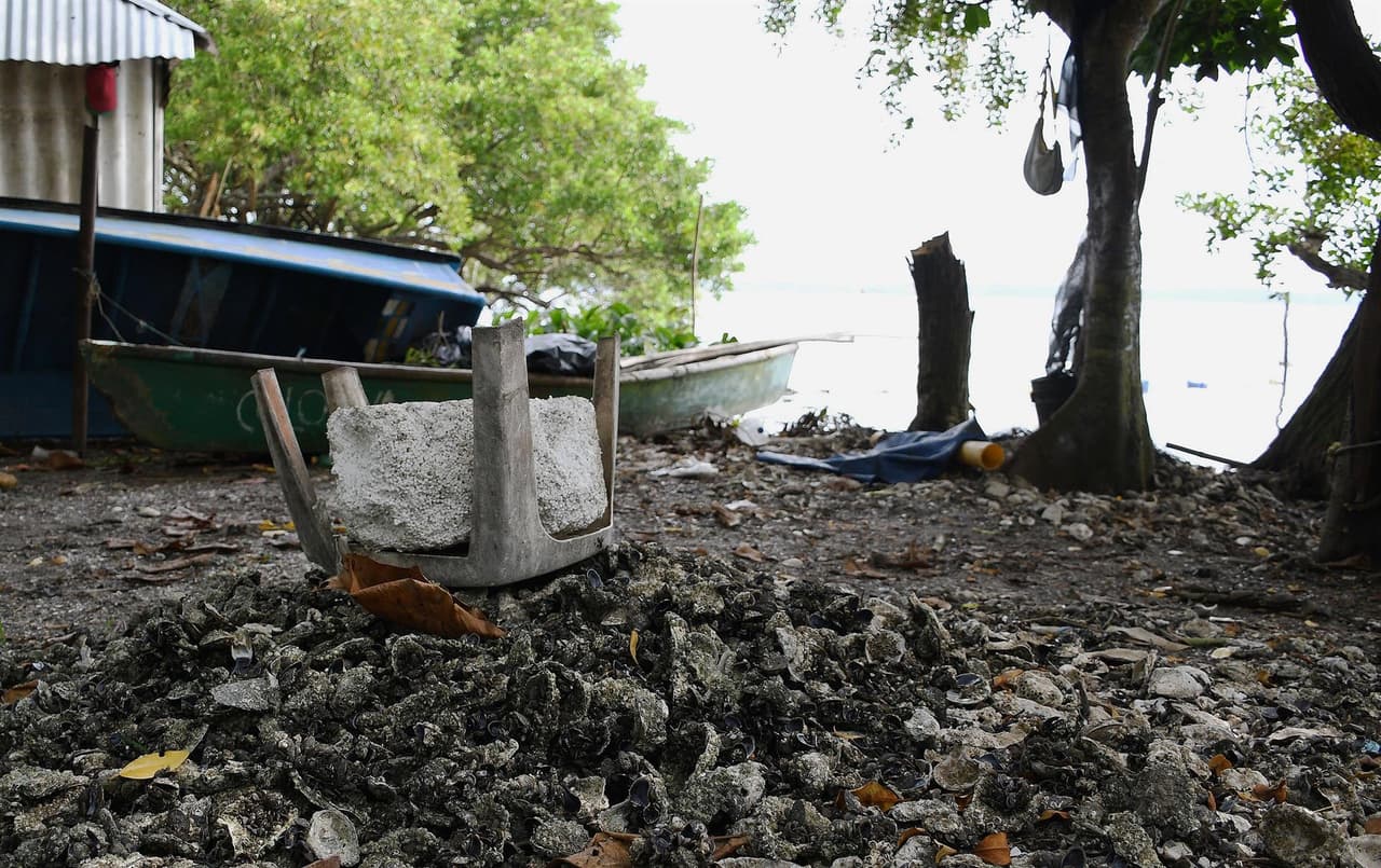 65 cuerpos y más de 5,000 restos humanos: reportan hallazgo de una gran fosa clandestina en México