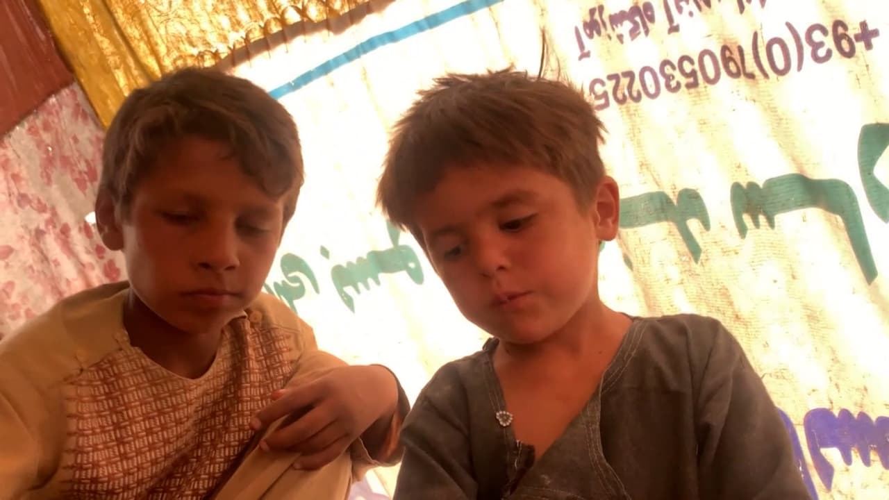 Al menos 324 afganos tomarán refugio en ciudades de Texas, según informe  