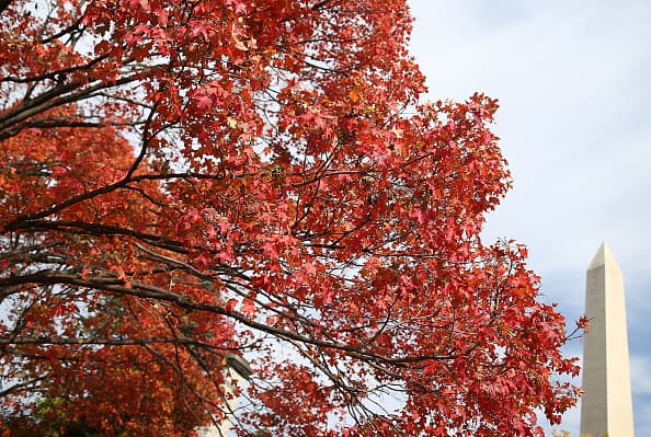 El parque nacional Smoky Mountains pronostica que el cambio de color en Texas por el otoño pudiera comenzar a notarse a mediados y finales de octubre.