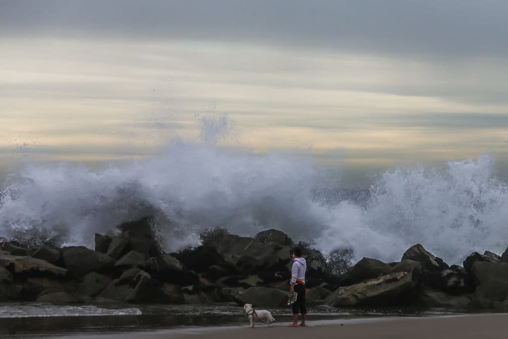 Unos minutos más tarde, el agua invadió su casa, y vio caer la pared de una casa vecina. "Supimos enseguida que era un tsunami, con el agua que brotaba en la casa. Se oían gritos por todas partes, y todo el mundo empezó a huir hacia las alturas", añadió. En la imagen, una olas en la costa oeste de EEUU. 
<br>