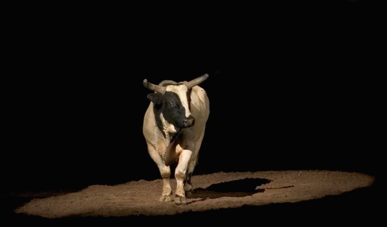 Video: Joven muere tras ser aplastado y pisoteado por un toro en un espectáculo de jaripeo en México