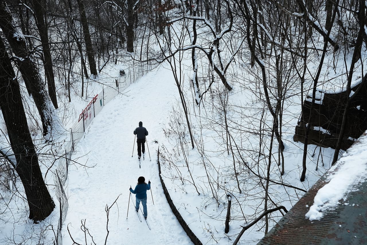 Así luce un parque en Nueva York el domingo por la mañana.