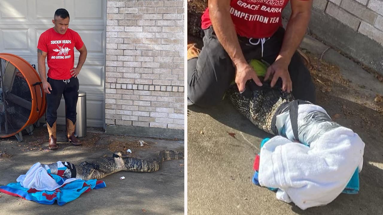 Un padre de Missouri City encontró a un 
<a href="https://www.univision.com/local/houston-kxln/mike-trinh-caiman-missouri-city-houston-fotos" target="_blank">caimán en la puerta</a> de su casa cuando sus hijos se preparaban para el primer día de clases.