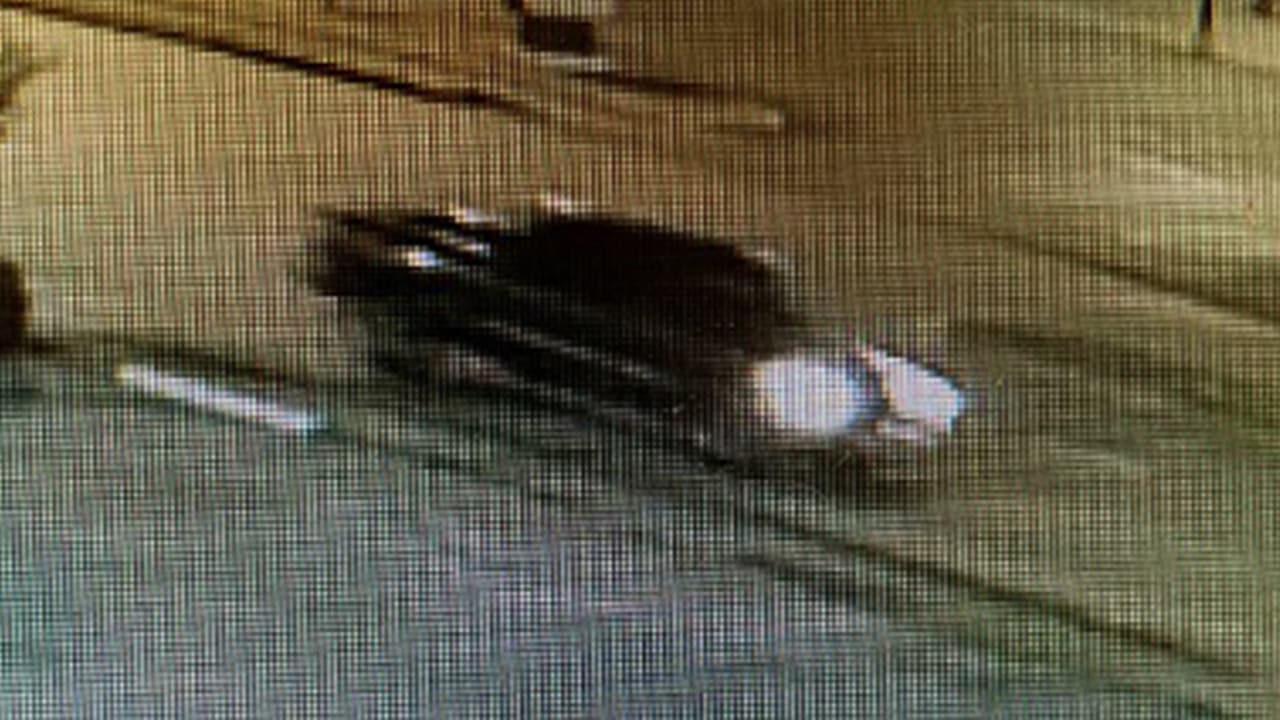 Buscan al responsable de un atropello mortal en Houston