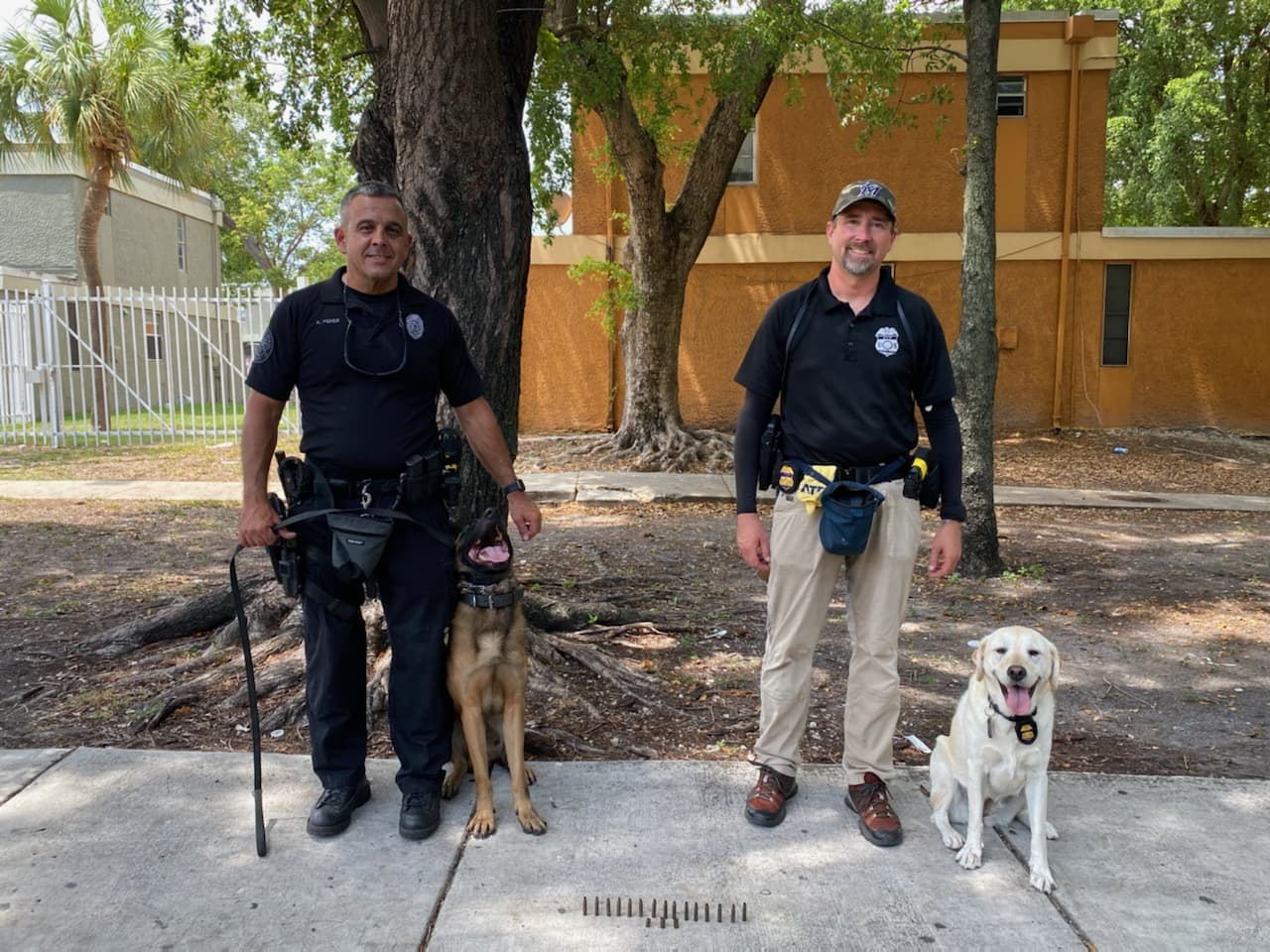 Según el agente Lanier, en diferentes operativos en el 2022, han incautado 60 armas de fuego en esa comunidad.