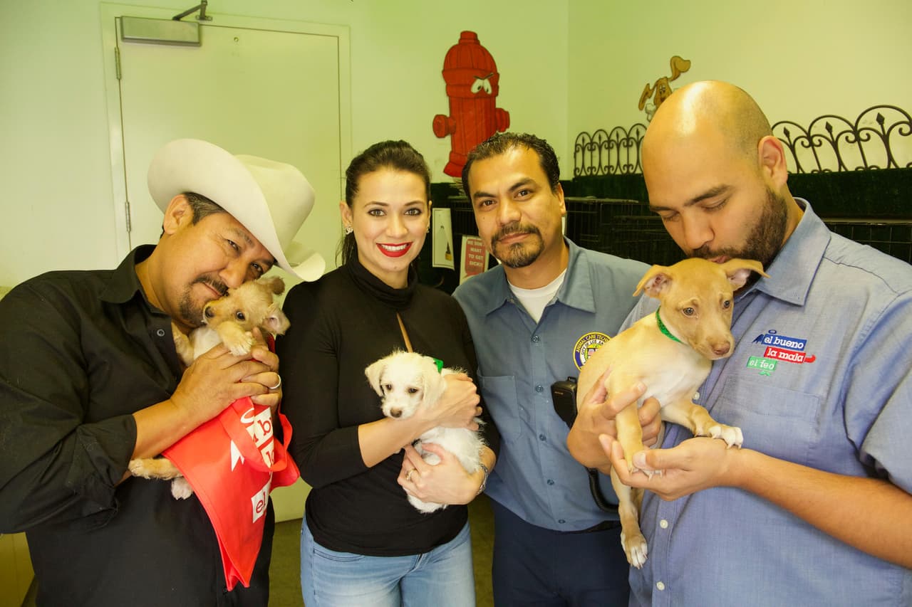 Rescata una vida adoptando a una mascota
