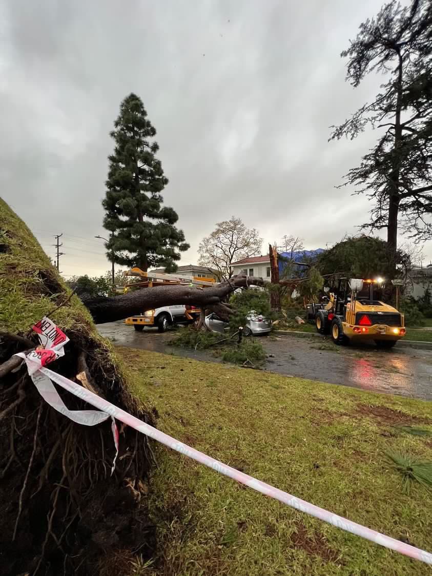Cuando el árbol cayó, derribó otro árbol y ambos aterrizaron en la casa, causando daños en el techo que provocaron inundaciones dentro de la estructura. Posteriormente, la casa se consideró inhabitable.
<br>