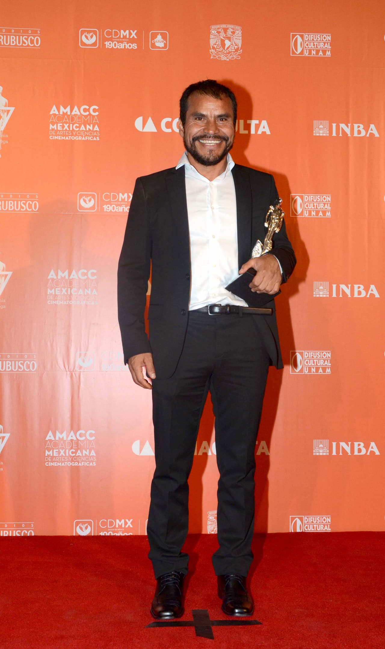 Noé dio vida a 'Canelita' el tío gay de la protagonista. Gracias a su trabajo en 
<i>La tirisia, </i>Hernández ganó un Ariel por Mejor coactuación masculina en el 2015.