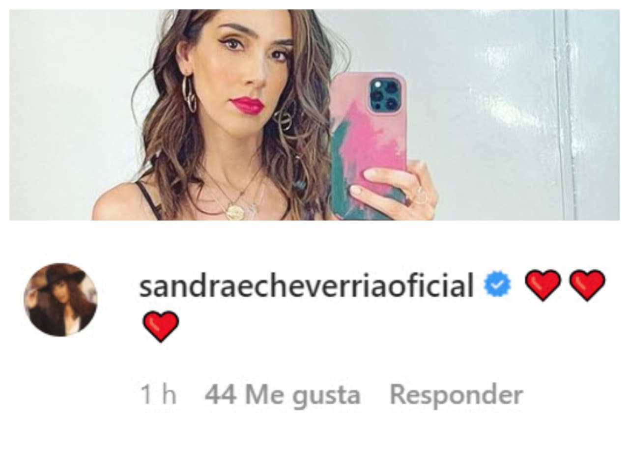 <b>Sandra Echeverría</b> hizo lo mismo, pero con emoticonos. 
<br>