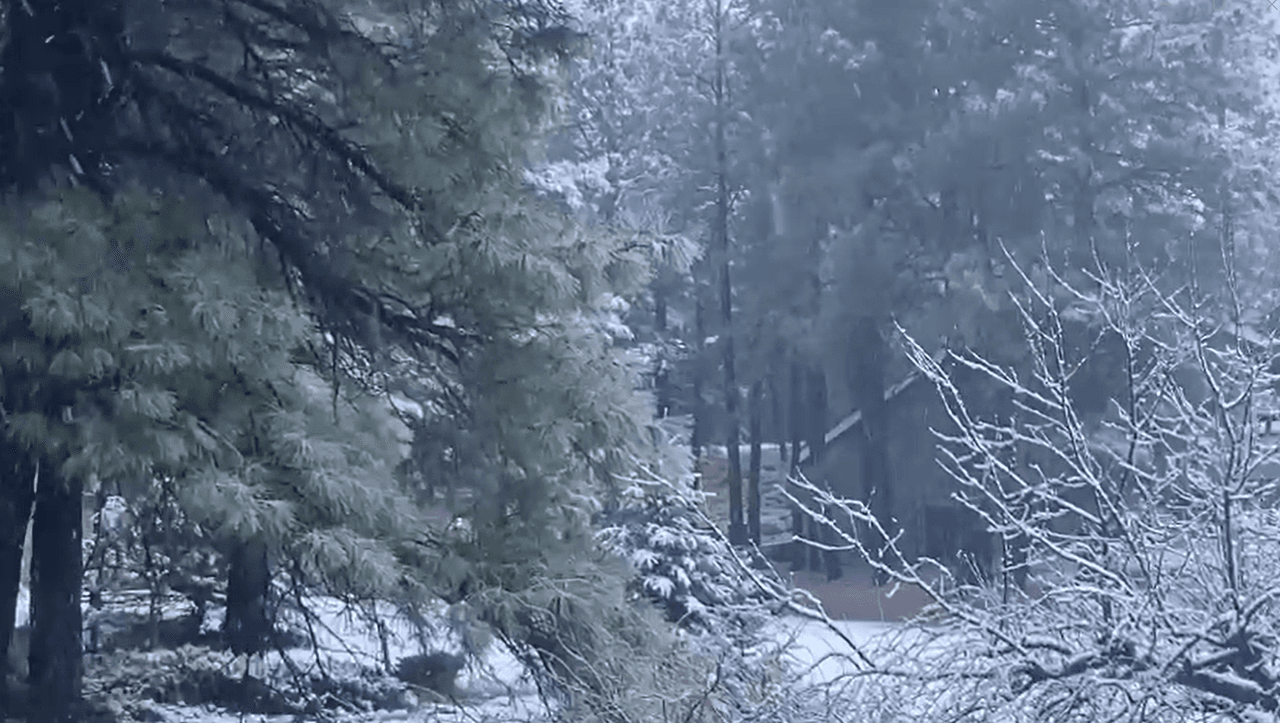 La región norte del estado ha tenido
<b>ráfagas de viento y caída de nieve</b>.