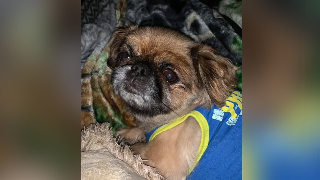 Lizbeth Punzal - "El bello choco"