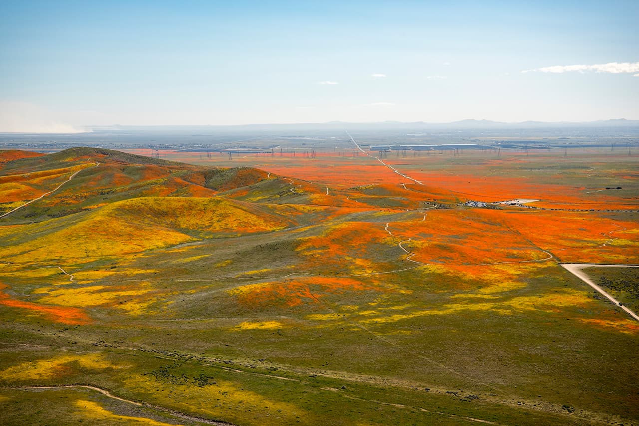 La apariencia y colorido de los campos floridos varía según la hora del día, la apertura de los pétalos al Sol o su cierre cuando hay viento. Esta fotografía de la reserva de amapolas fue tomada desde un avión T-34 de NASA en 2019.