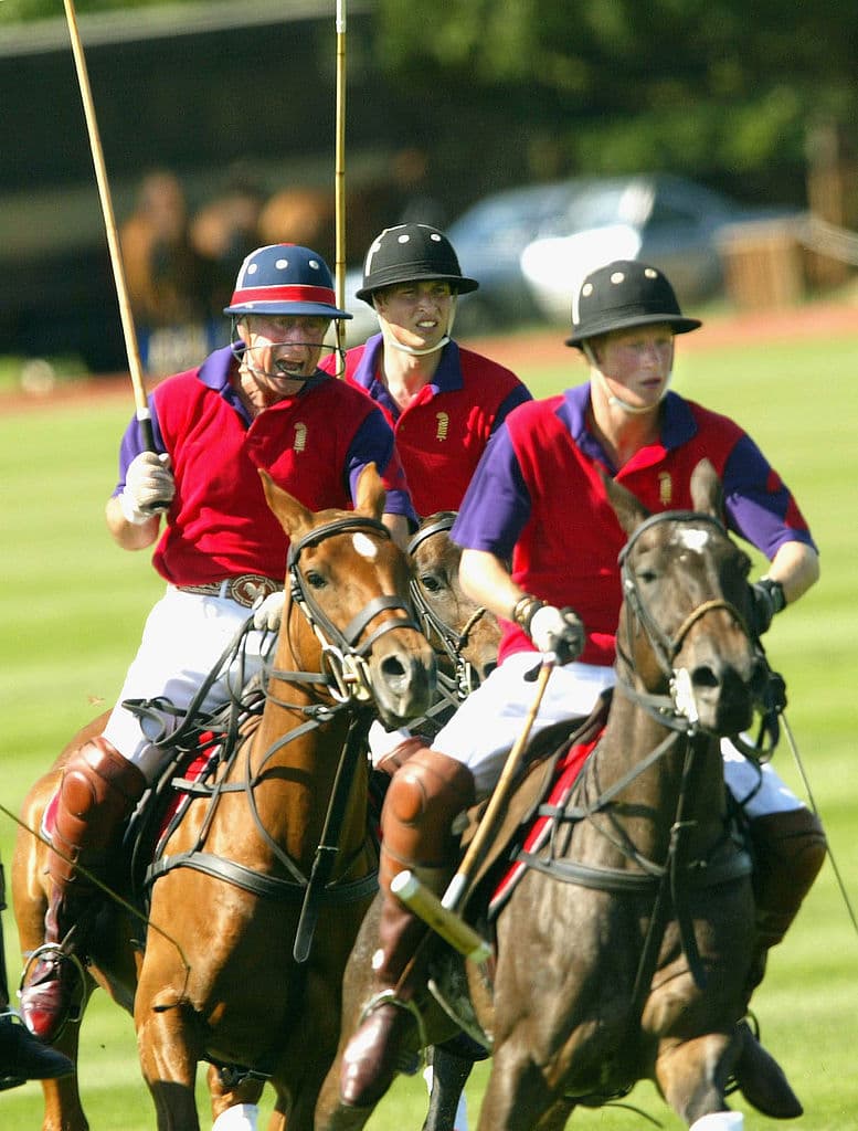 El Príncipe Carlos, el Príncipe Guillermo y el Príncipe Harry en acción durante el partido benéfico del día de polo de St James's Place para el George Thomas Hospice Care en el Beaufort Polo Club, Gloucestershire el 17 de julio de 2004 en Tetbury, Inglaterra.