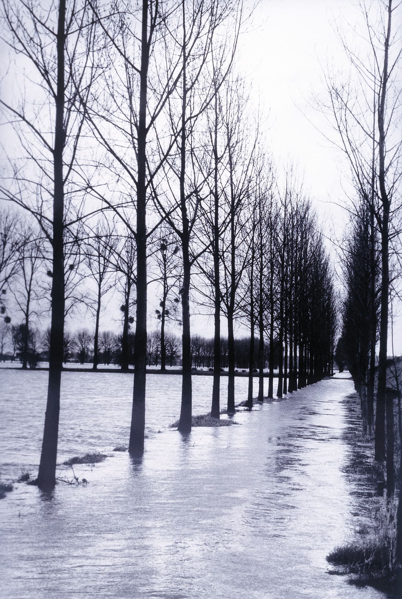 “Dios destruyó la primera Tierra con agua, por una inundación, en los días de Noé. Y él dice que no va a hacer eso otra vez, al menos no por agua”, añadió.
