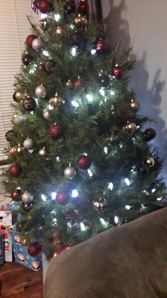 Nuestros televidentes compartieron fotos de sus adornos navideños 🎄