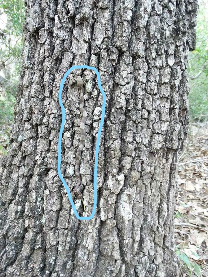 Te lo ponemos más fácil.