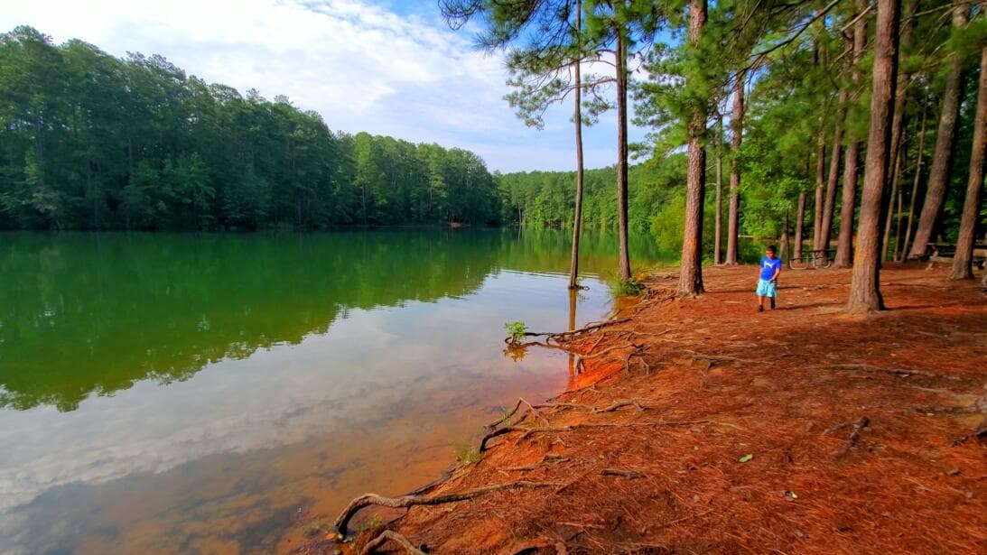 El Iron Hill Trail, por ejemplo, que está entre los más populares para los visitantes, te llevará a recorrer las orillas del lago.