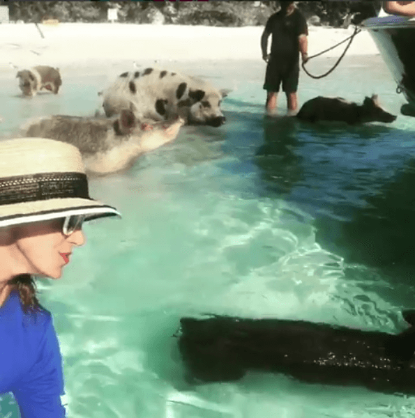 Si, ¡una playa donde puedes convivir con cerditos!