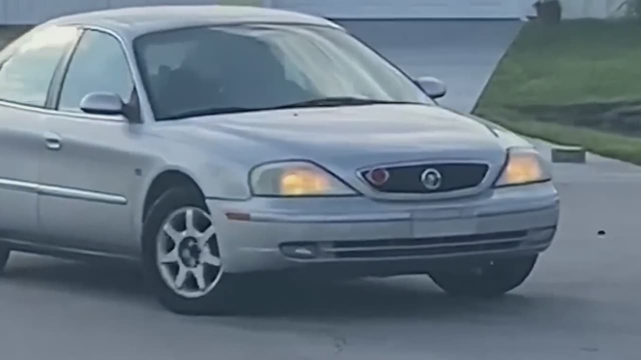 ¿Un perro al volante? Esta mascota asustó a vecinos y obligó a la intervención de la policía