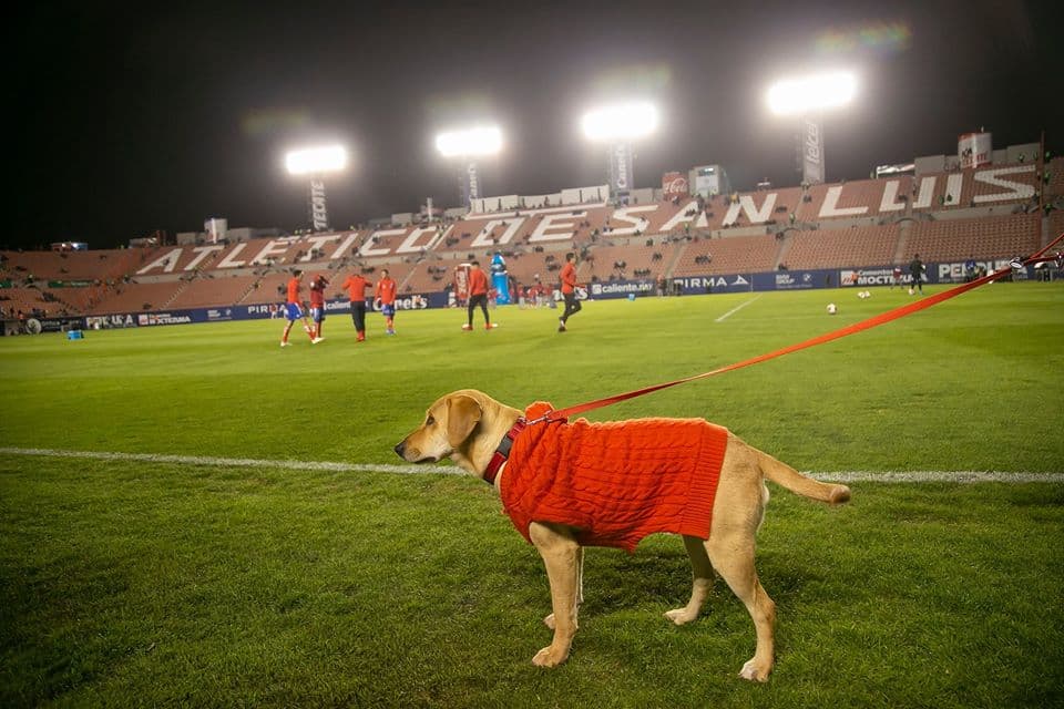 'Tunita' regresa al Alfonso Lastras y apoya al Atlético de San Luis