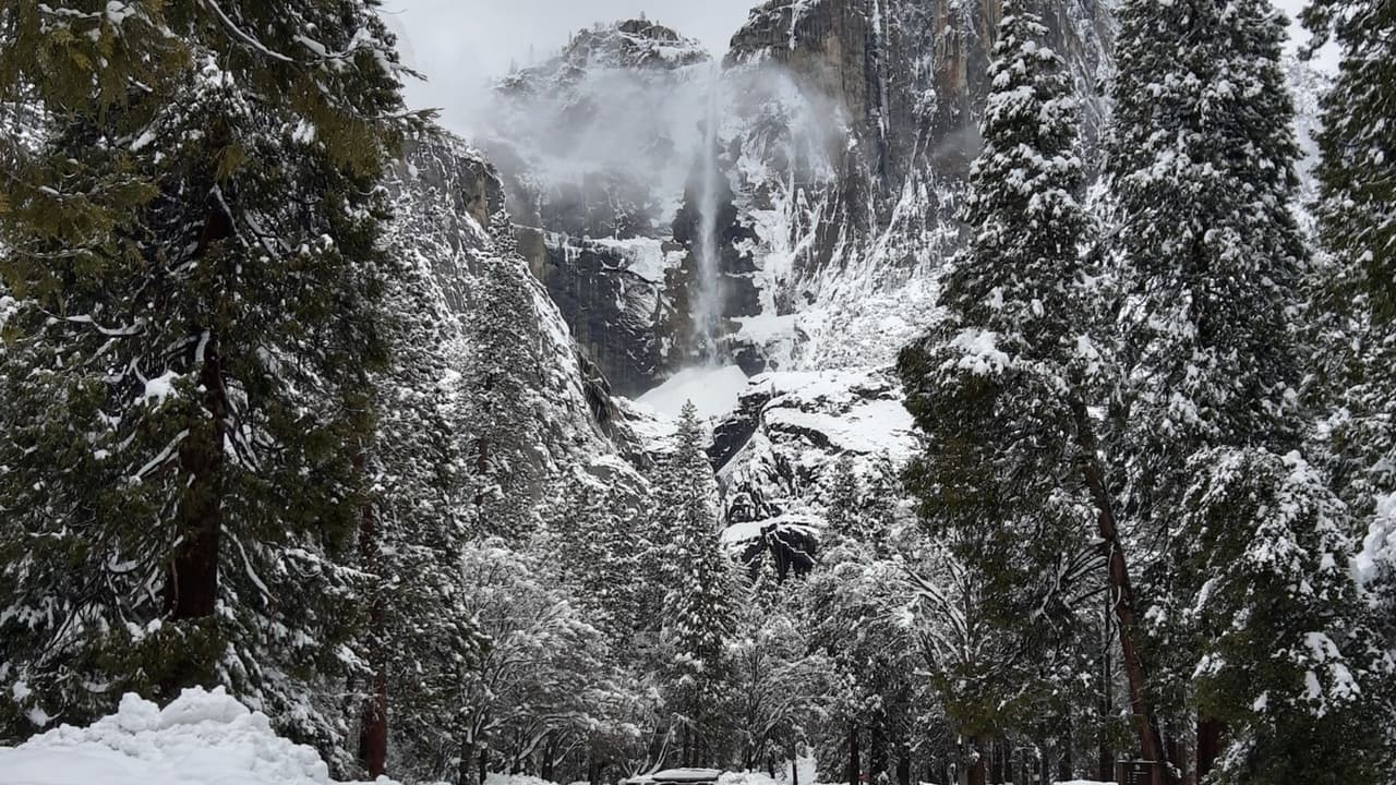 Las autoridades no tienen una fecha estimada de la reapertura del parque.
