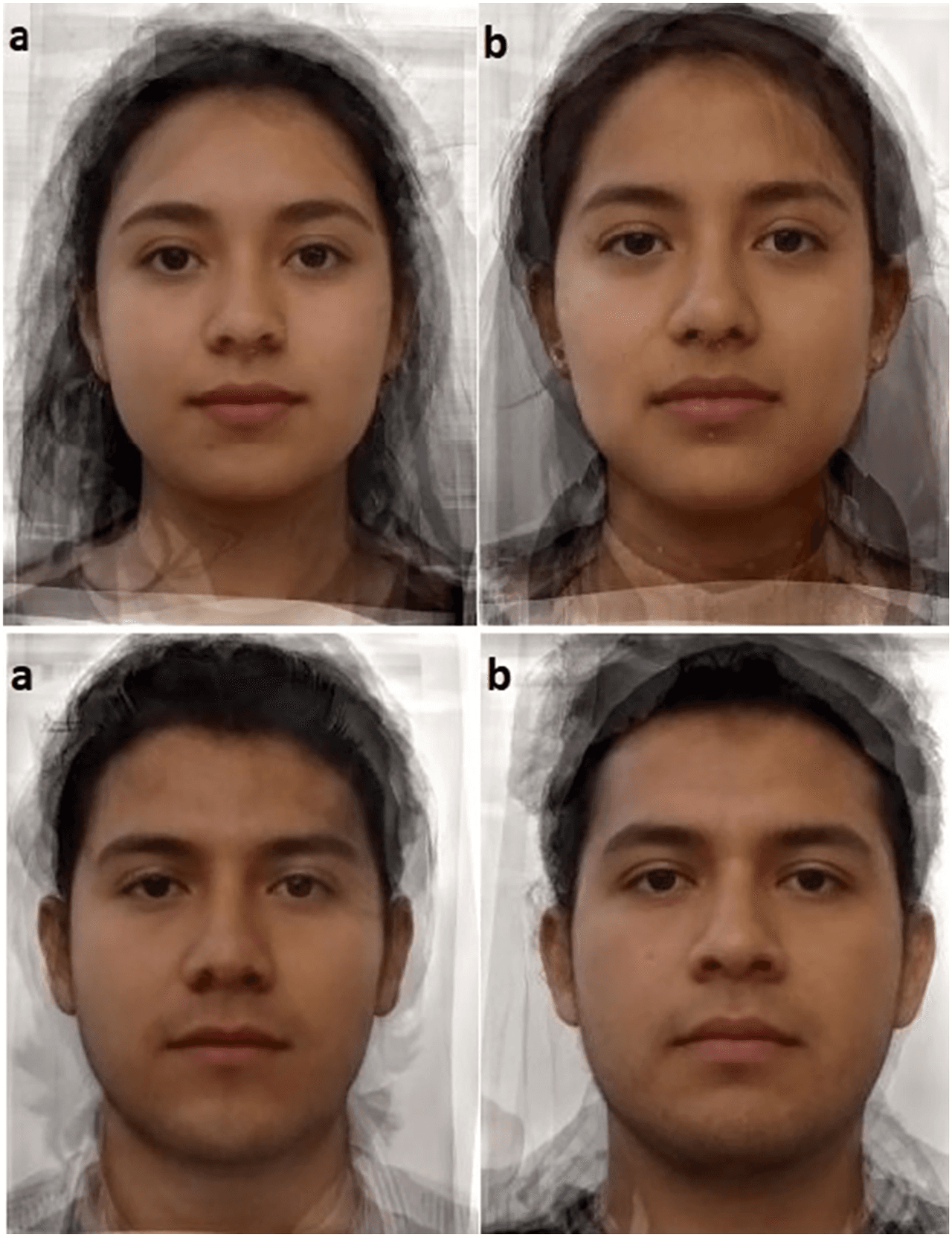 Cada imagen representa el rostro promedio de hombres y mujeres con (izquierda) y sin (derecha) infección por toxoplasma gondii. Dado que cada imagen se creó fusionando fotos de 10 personas para cada categoría, las caras que se muestran en las imágenes no son personas reales.