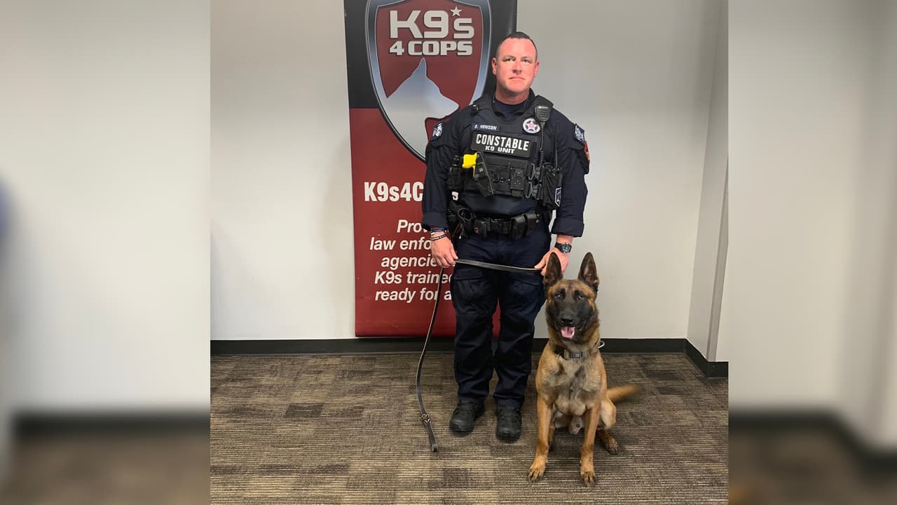 Quien estará a cargo de manejar al nuevo miembro K9 Max será su compañero, George Henson.