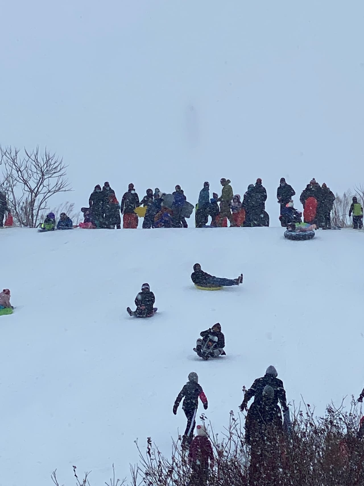 Para los no hayan tenido la oportunidad de visitarla, está ubicada a 1/4 de milla al sur del Soldier Field, en la intersección de las calles 18 y Museum Campus.