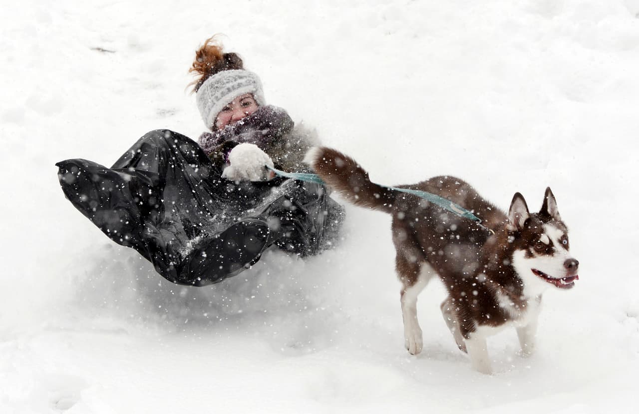 Algunos se han divertido con la ola de frío, como esta joven y su perro en Winston-Salem, Carolina del norte